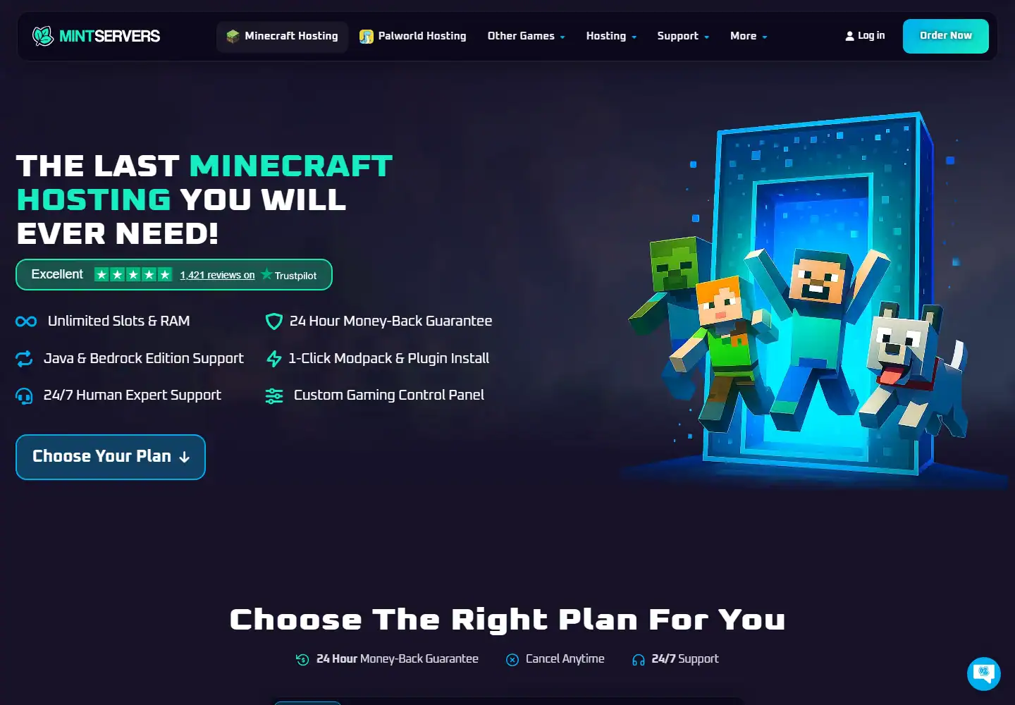 MintServers homepage screenshot