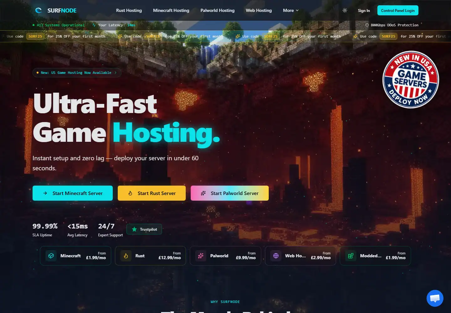 SurfNode homepage screenshot